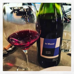 Le Mazel - Gérald & Jocelyne Oustric - Cuvée Briand