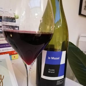 Le Mazel - Gérald & Jocelyne Oustric - Cuvée Briand