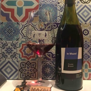 Le Mazel - Gérald & Jocelyne Oustric - Cuvée Briand