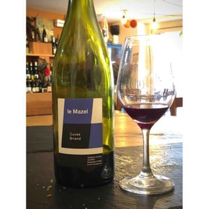 Le Mazel - Gérald & Jocelyne Oustric - Cuvée Briand