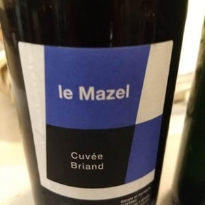 Le Mazel - Gérald & Jocelyne Oustric - Cuvée Briand