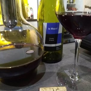 Le Mazel - Gérald & Jocelyne Oustric - Cuvée Briand
