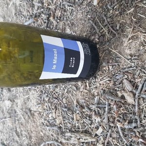Le Mazel - Gérald & Jocelyne Oustric - Cuvée Briand