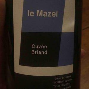 Le Mazel - Gérald & Jocelyne Oustric - Cuvée Briand