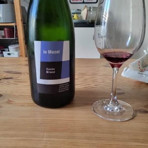 Le Mazel - Gérald & Jocelyne Oustric - Cuvée Briand