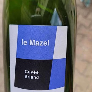 Le Mazel - Gérald & Jocelyne Oustric - Cuvée Briand