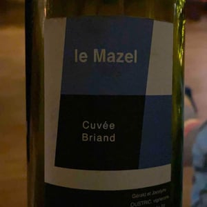 Le Mazel - Gérald & Jocelyne Oustric - Cuvée Briand