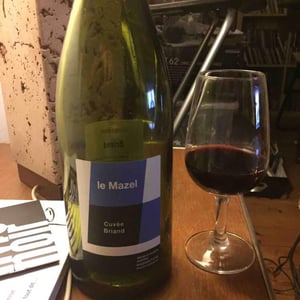 Le Mazel - Gérald & Jocelyne Oustric - Cuvée Briand
