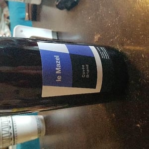 Le Mazel - Gérald & Jocelyne Oustric - Cuvée Briand