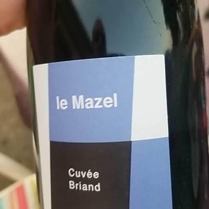 Le Mazel - Gérald & Jocelyne Oustric - Cuvée Briand
