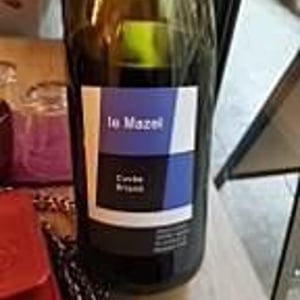 Cuvée Briand - Le Mazel - gerald-jocelyne-oustric