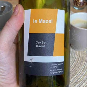 Le Mazel - Gérald & Jocelyne Oustric - Cuvée Briand