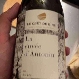 Cuvée D’Antonin - Domaine Du Crêt De Bine - geoffroy-subrin-florence-subrin-dodille