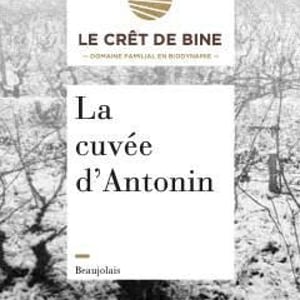 Cuvée D’Antonin 2014 - Domaine Du Crêt De Bine - Geoffroy Subrin & Florence Subrin Dodille