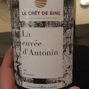 Cuvée D’Antonin - Domaine Du Crêt De Bine - geoffroy-subrin-florence-subrin-dodille