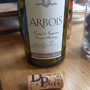 Cuvée d'Automne - Domaine de la Pinte - Pierre Martin 