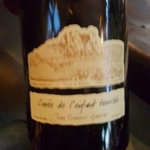Domaine Ganevat - Anne & Jean-François Ganevat - Cuvée de l'Enfant Terrible