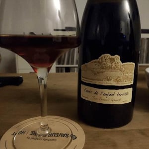 Domaine Ganevat - Anne & Jean-François Ganevat - Cuvée de l'Enfant Terrible