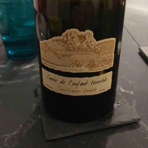 Cuvée de l'Enfant Terrible - Domaine Ganevat - Anne & Jean-François Ganevat 