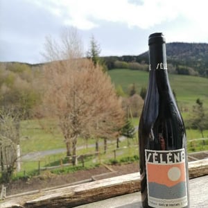 Cuvée de Printemps 2020 - Séléné - sylvere-trichard