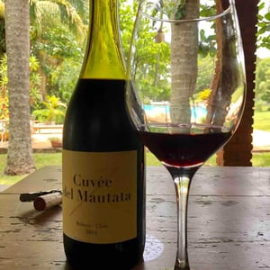 Cuvée del Mautata - Agrícola Cuvelier - baptiste-cuvelier