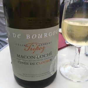 Cuvée Du Clocher - Domaine Tripoz - celine-laurent-tripoz