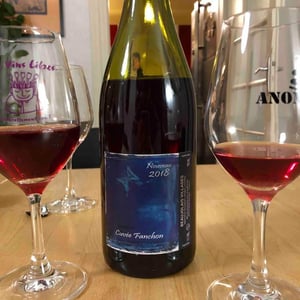 Cuvée Fanchon - Domaine Guy Breton - P'tit Max - Guy Breton 