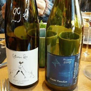 Cuvée Fanchon - Domaine Guy Breton - P'tit Max - Guy Breton 