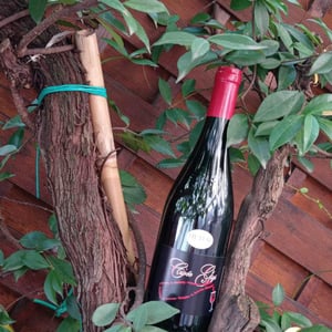 Cuvée Gigi - Georges Descombes - georges-descombes