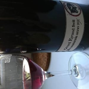 Cuvée Igor 2011 - Domaine de Rapatel - Gérard Eyraud -2011