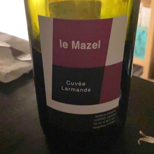 Le Mazel - Gérald & Jocelyne Oustric - Cuvée Larmande