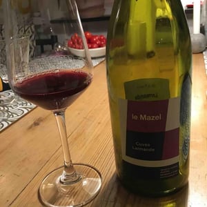Le Mazel - Gérald & Jocelyne Oustric - Cuvée Larmande