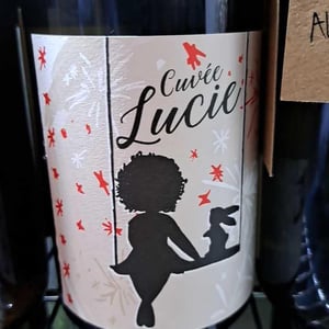Cuvée Lucie - Larcelet Vincent - Domaine du Petit Bouchon - vincent-larcelet