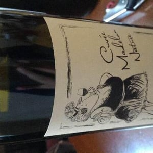 Cuvée Madelon Nature - Domaine Ganevat - anne-jean-francois-ganevat