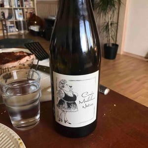 Domaine Ganevat - Anne & Jean-François Ganevat - Cuvée Madelon Nature
