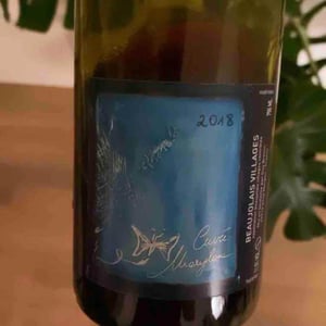 Cuvée Marylou - Domaine Guy Breton - P'tit Max - guy-breton