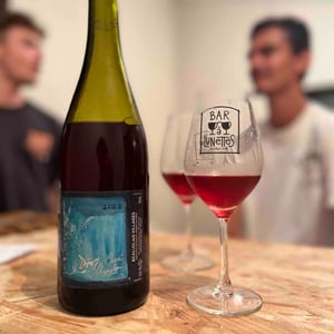 Cuvée Marylou - Domaine Guy Breton - P'tit Max - Guy Breton 