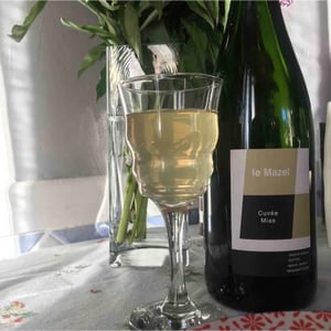 Le Mazel - Gérald & Jocelyne Oustric - Cuvée Mias