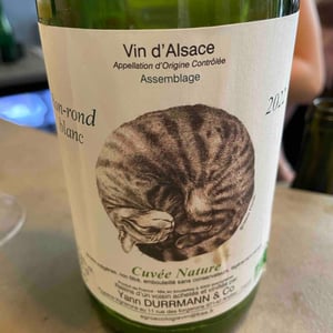 Rond Rond Blanc - Anna, André & Yann Durrmann - Anna, André & Yann Durrmann -2022