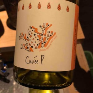Cuvée P - Marumegane - Takashi Ohno 