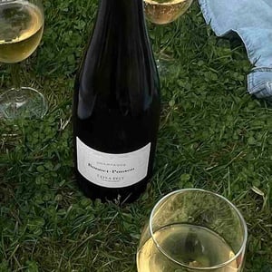 Cuvée Perpétuelle Extra Brut - Champagne Bonnet-Ponson - Cyril Bonnet 