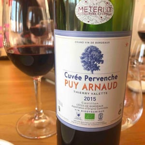 Cuvee Pervenche - Clos Puy Arnaud - thierry-valette