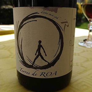 Vignoble des Vernusses - Loren PETIT - dans ma sphère