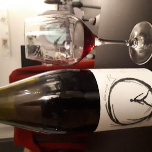 Vignoble des Vernusses - Loren PETIT - dans ma sphère