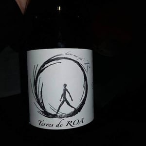 Vignoble des Vernusses - Loren PETIT - dans ma sphère