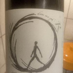 Vignoble des Vernusses - Loren PETIT - dans ma sphère
