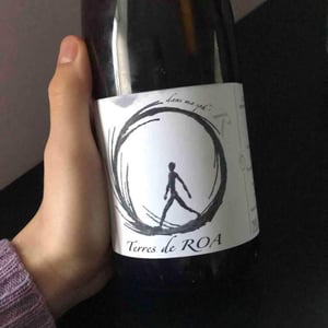 Vignoble des Vernusses - Loren PETIT - dans ma sphère