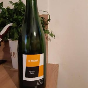 Le Mazel - Gérald & Jocelyne Oustric - Cuvée Raoul