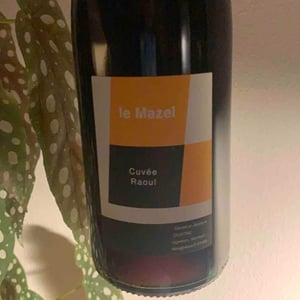 Cuvée Raoul - Le Mazel - Gérald & Jocelyne Oustric 