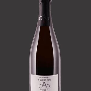 Cuvée Terre - Champagne Augustin - emmanuelle-marc-augustin